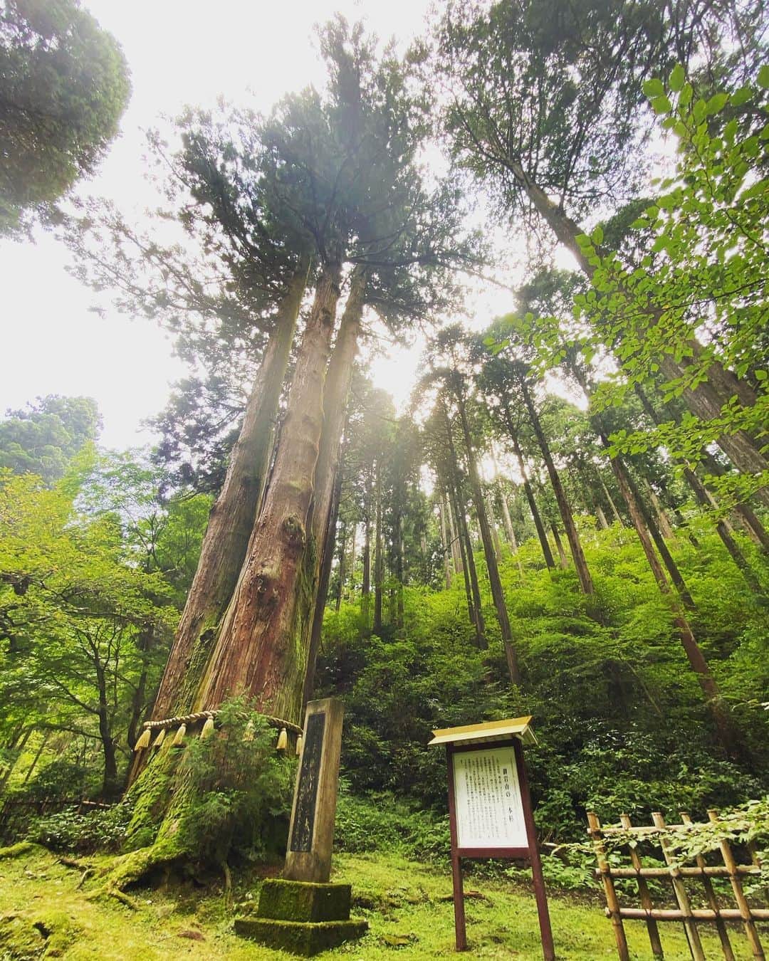 SHOCK EYEのグルメインスタ