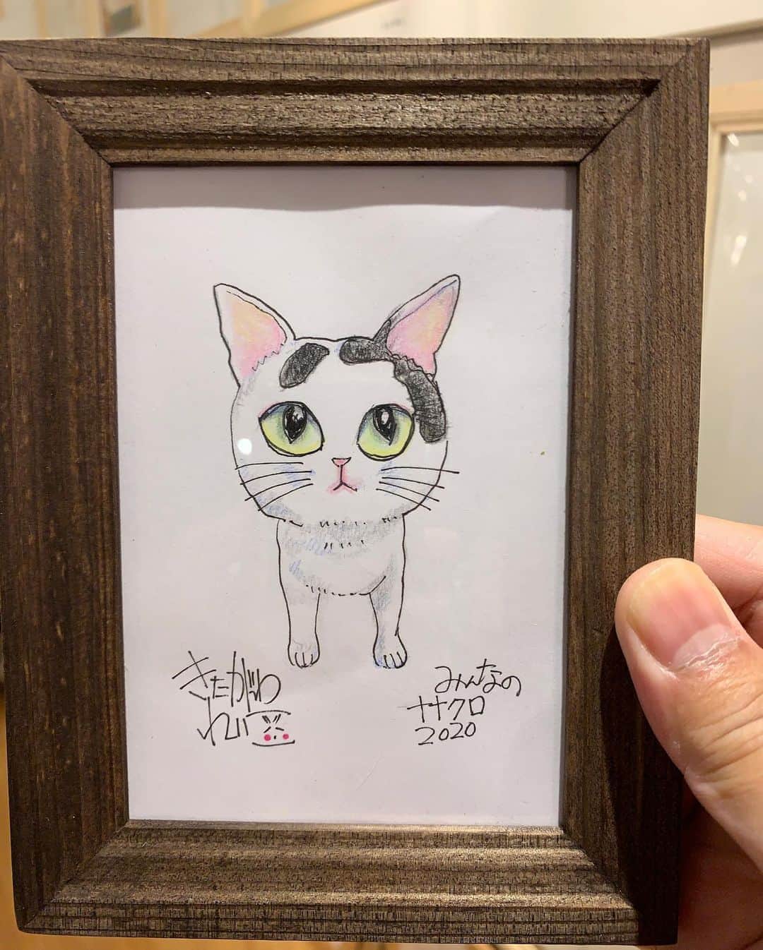 Kachimo Yoshimatsuのグルメインスタ