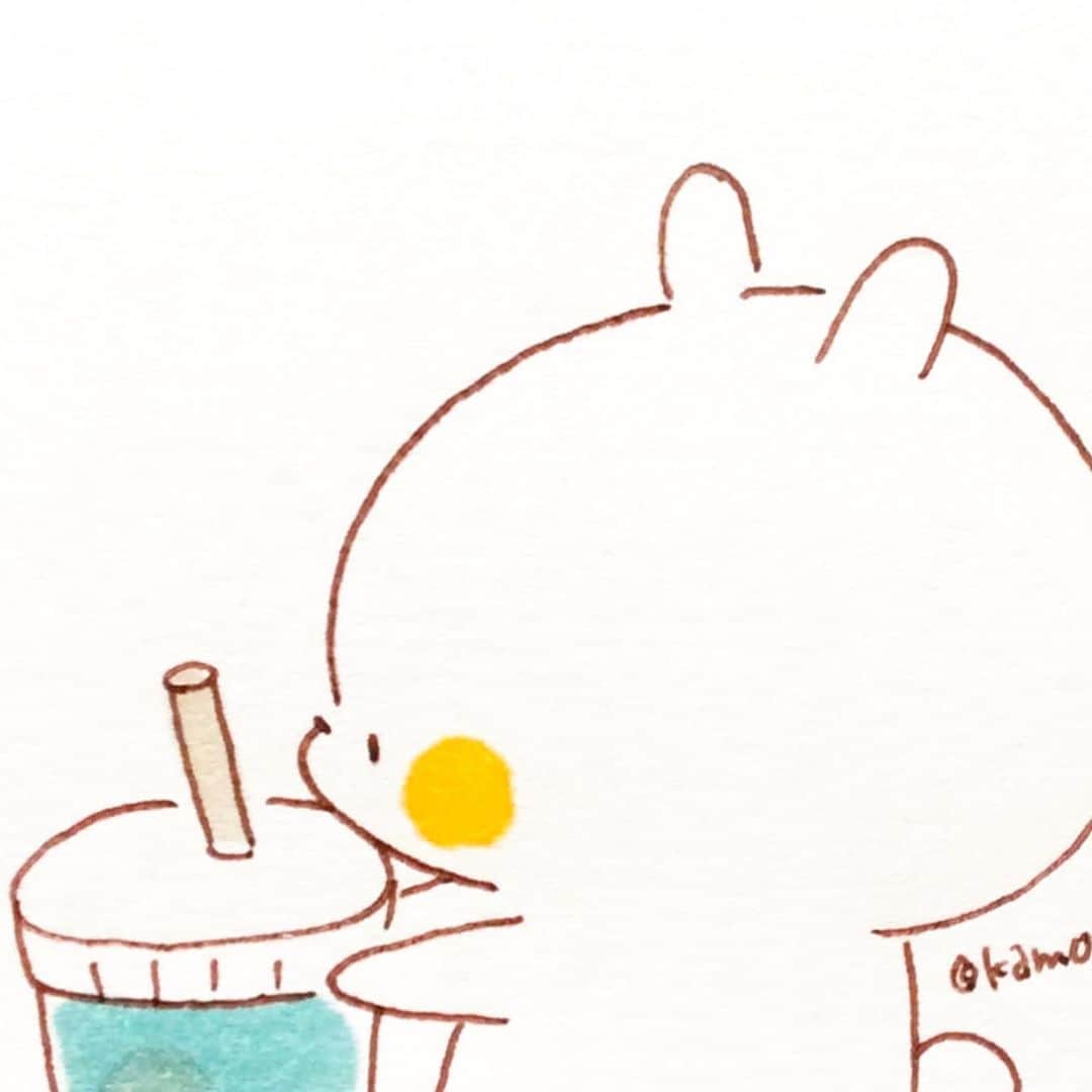 カモのインスタグラム