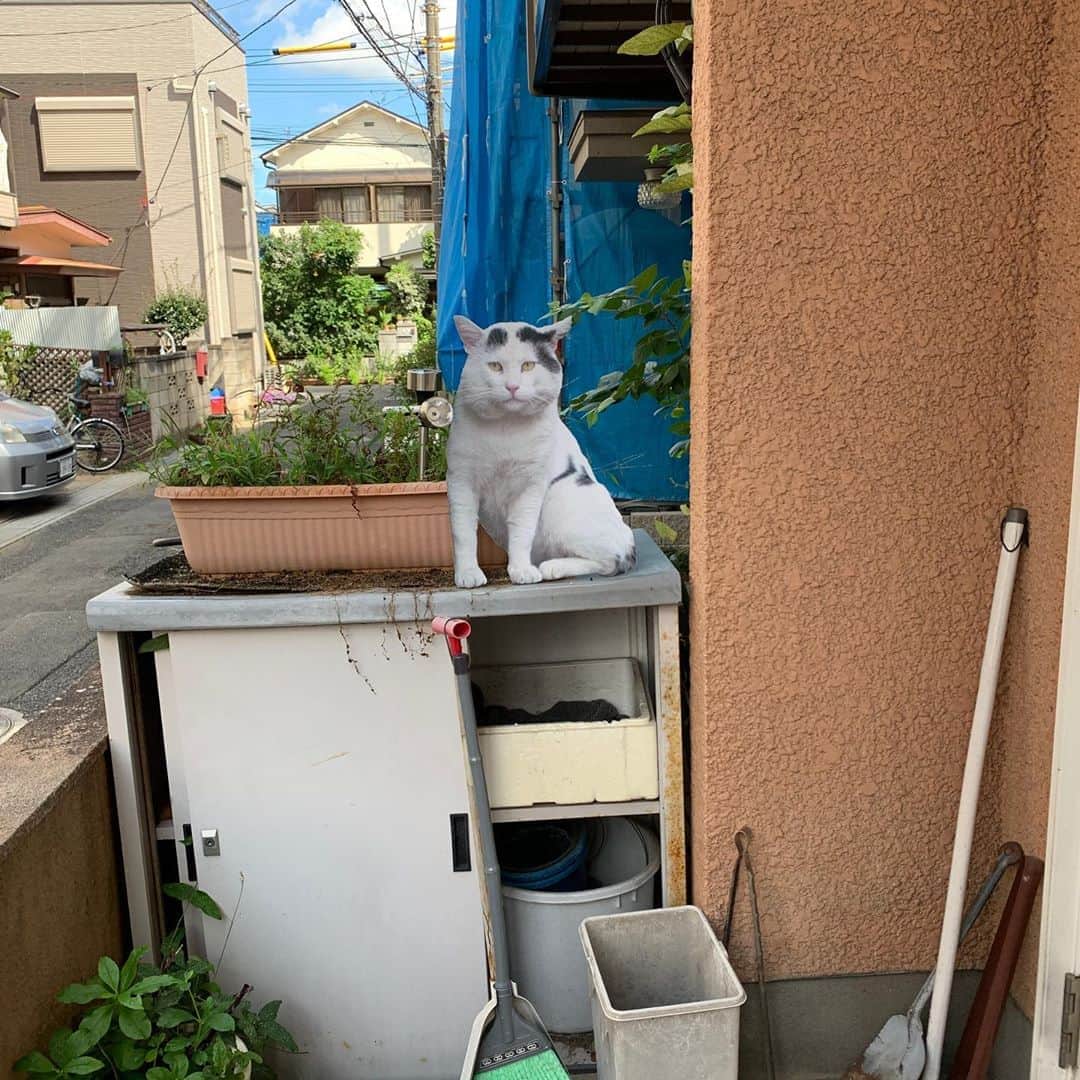 Kachimo Yoshimatsuのグルメインスタ