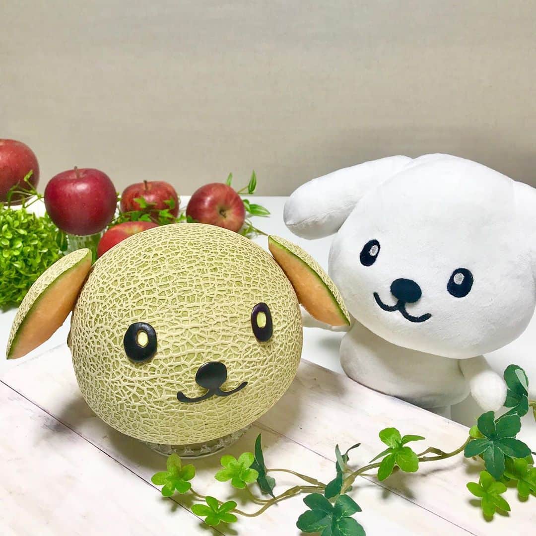 ダスキン ダス犬【公式】のインスタグラム：「【アートdeダス犬♪ハンドクラフト企画】 @mayumi_ninomiya_carving さんとタイアップ！ 今回はメロンでダス犬を作っていただきました♪  こんなに綺麗でかわいい装飾していると食べられないよね〜！ どうかな？似てるかな？？   #フルーツでカービング #ダス犬のおうちじかん #食べられるアート  カービング監修　@mayumi_ninomiya_carving」