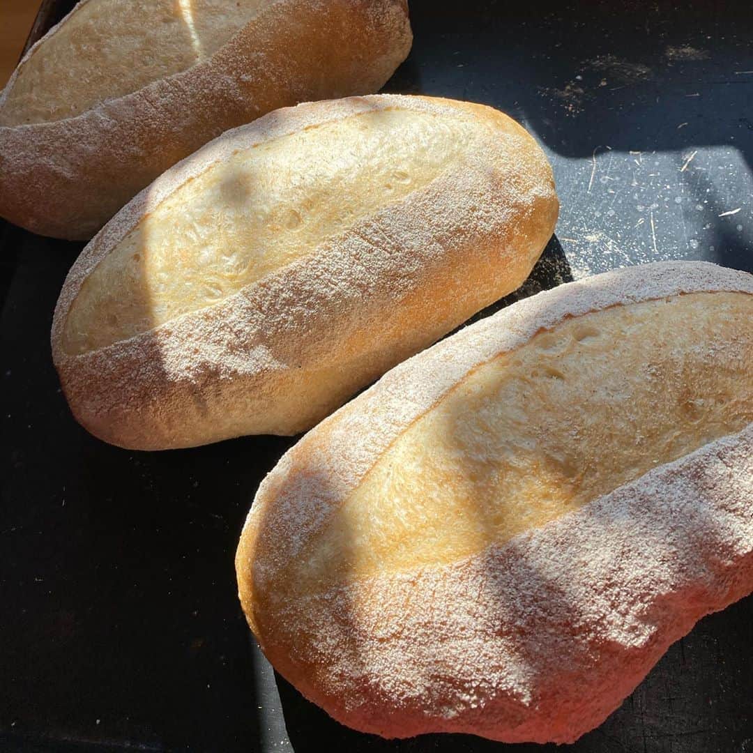 魔女菅原のグルメインスタ