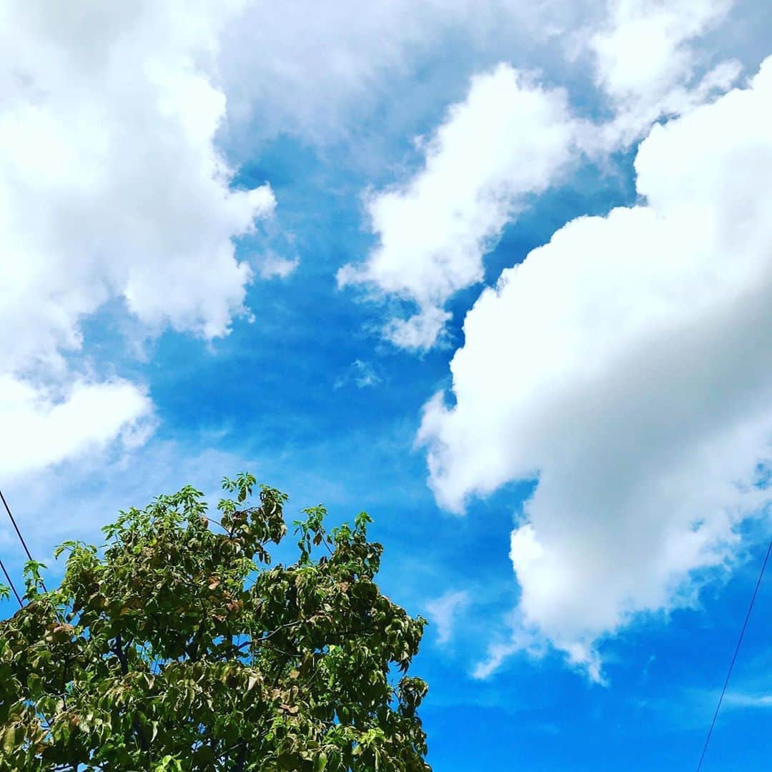 光野桃のインスタグラム：「しばらく空を見上げるのを忘れていました。 もうすっかり羊のような秋の雲。 と思ったらいま、突然の豪雨。 季節は巡り来ているのですね。」