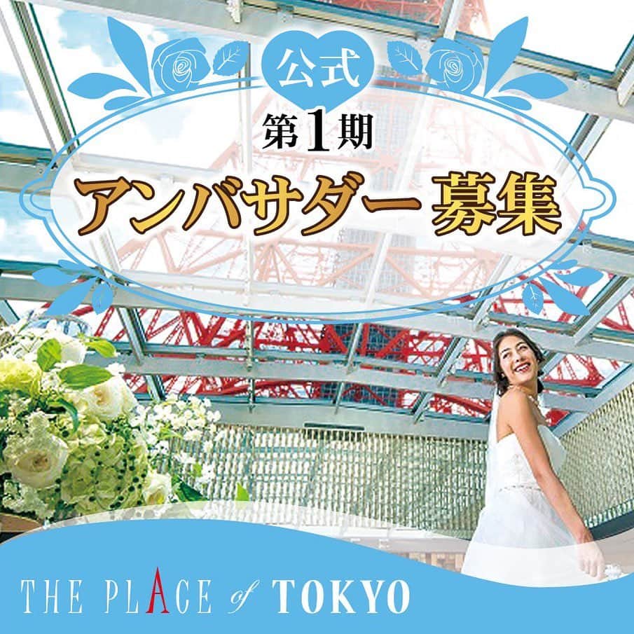 東京タワーの麓の結婚式のグルメインスタ
