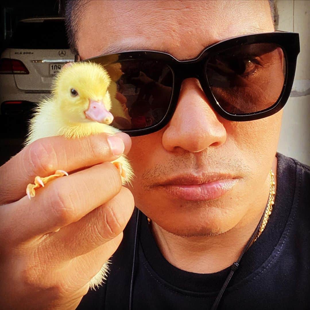 トニー・ジャーのインスタグラム：「Born to be 😂😂😂」