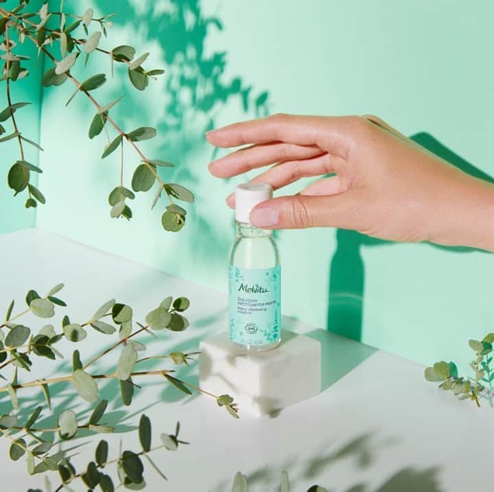 Melvita Officialのインスタグラム：「Savez-vous de quoi est composé notre nouvelle Solution Nettoyante 👋 Mains 🌿 Bio ?  ✅ ALCOHOL DENAT : C’est l’alcool végétal bio qui permet de nettoyer la peau. ✅ GLYCERIN +SODIUM HYALURONATE : ce sont la glycérine et l’acide hyaluronique. Elles permettent d’hydrater la peau.  ✅ EUCALYPTUS GLOBULUS LEAF : c’est l’huile essentielle d’eucalyptus bio. Elle permet de parfumer délicatement Voilà, vous savez tout !  #Melvita #handcleansinggel #solutionnettoyantemains #hydragel #cleanhands #alcoolgel #acidehyaluronique #hyaluronicacid #eucalyptusessentialoil #organiccosmetics #cleanbeauty」