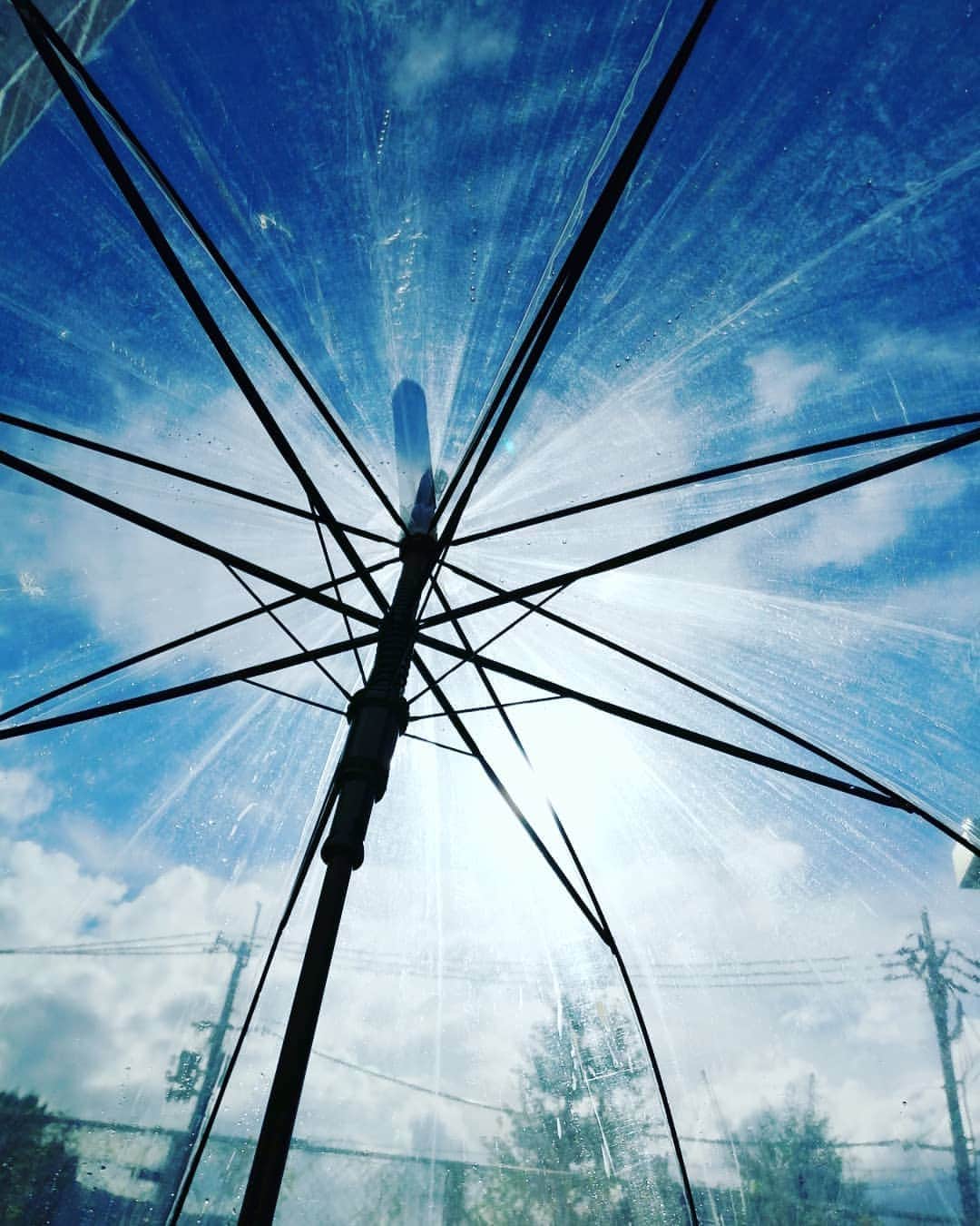 林智美 さんのインスタグラム写真 - (林智美 Instagram)「必要なのは、 日傘だったなこの時間🌞🌞🌞 * #真夏は頑張って凌いだのに #こうして9月に日焼けする #残暑あるある #ビニール傘まぶしい」9月7日 15時52分 - h_tomomi_i