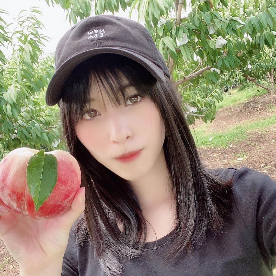 仙石みなみのインスタグラム：「. ももちゃん🍑 . #桃 #peach #fruits #newera #newera_ai #love」