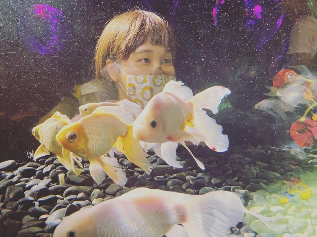 横井かりこるのインスタグラム：「金魚見に来てたのにぼーっとしてた」