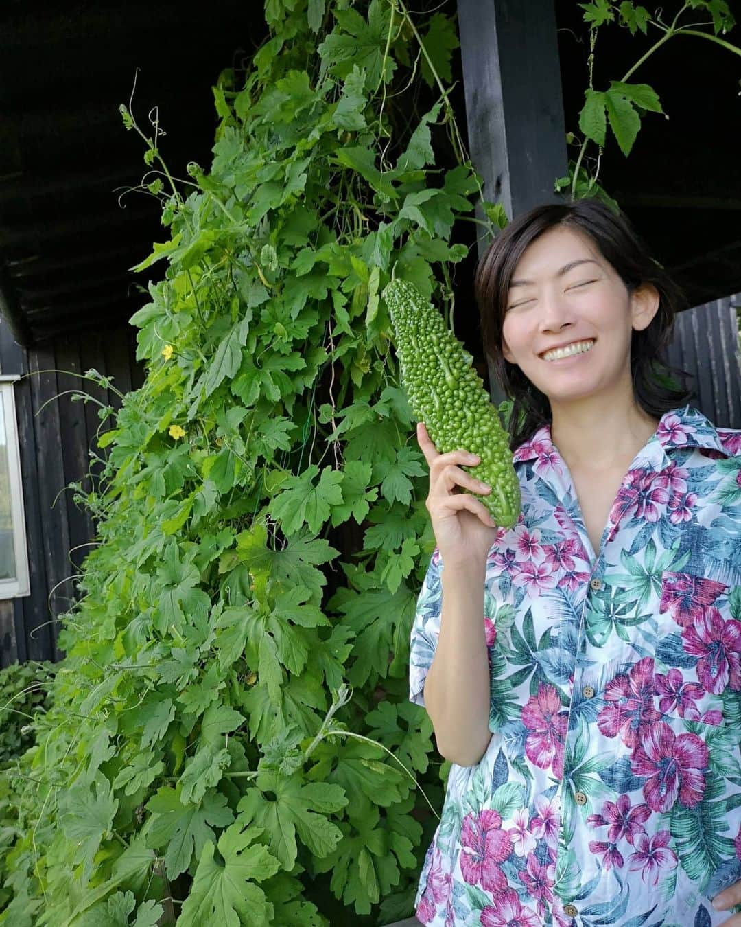 佐藤藍子さんのインスタグラム写真 - (佐藤藍子Instagram)「毎日毎日、、まだまだ暑いですね  なので  我が家のゴーヤｻﾝ、まだまだスクスク育っています🌱  サラダにチャンプルーに活躍中✨  いつも見て下さりありがとうございます🎵  素敵なコメント、とても嬉しいです😆 Thank you  for  your  message✨  急な天候の変化、熱中症に気をつけて下さい🍀  #ゴーヤ#グリーンカーテン#ゴーヤカーテン#aikosato#佐藤藍子」9月7日 16時33分 - sato_aiko_official