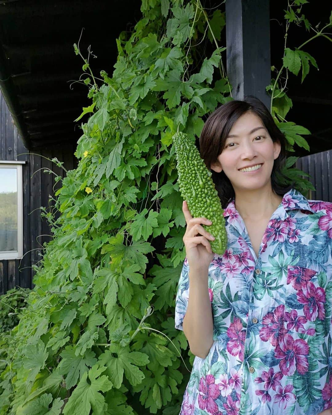 佐藤藍子さんのインスタグラム写真 - (佐藤藍子Instagram)「毎日毎日、、まだまだ暑いですね  なので  我が家のゴーヤｻﾝ、まだまだスクスク育っています🌱  サラダにチャンプルーに活躍中✨  いつも見て下さりありがとうございます🎵  素敵なコメント、とても嬉しいです😆 Thank you  for  your  message✨  急な天候の変化、熱中症に気をつけて下さい🍀  #ゴーヤ#グリーンカーテン#ゴーヤカーテン#aikosato#佐藤藍子」9月7日 16時33分 - sato_aiko_official