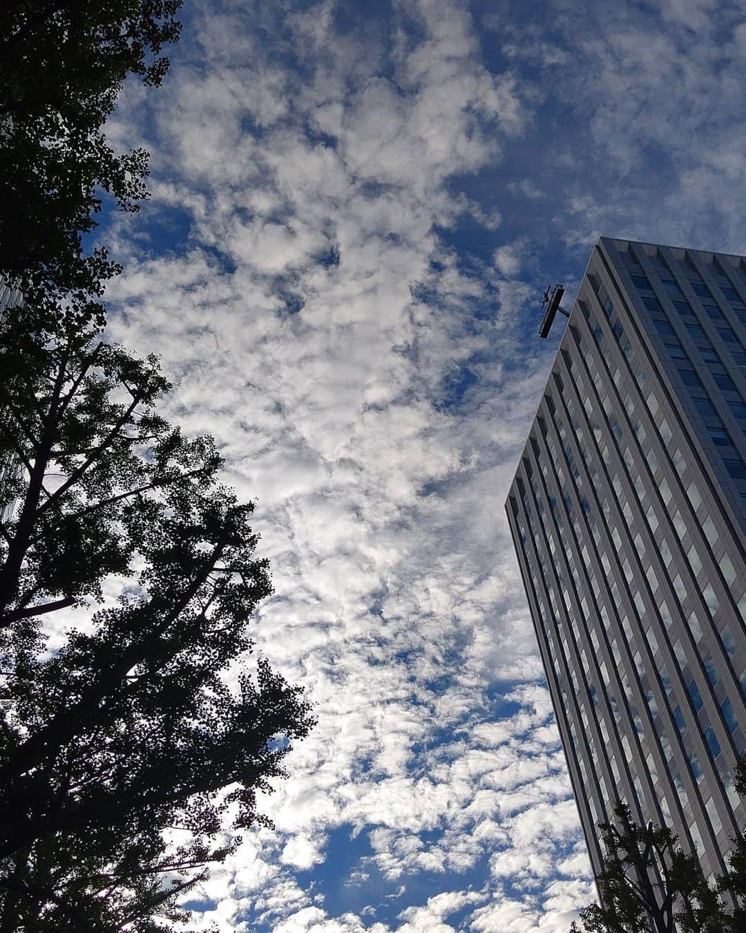 北海道放送「今日ドキッ!」さんのインスタグラム写真 - (北海道放送「今日ドキッ!」Instagram)「天気担当Sです。  きょうは 「四季どこいった？」 みたいな暑さになりましたね🥵  でも空を見上げると、 雲の様子は秋の空……🍂 ちゃんと季節は進んでいるよーです😊  ジャガイモ、タマネギ、ブドウ、プルーン、栗にサツマイモ… おいしい季節が楽しみー😆  が！  その前に明日の暑さは かなーりな感じなので、 熱中症注意ですよー😉  #今日ドキッ #近藤肇気象予報士  #金城茉里奈 #明日の気温は9月の記録になるかも #そらリサーチ 写真募集中」9月7日 16時45分 - hbc_kyodoki
