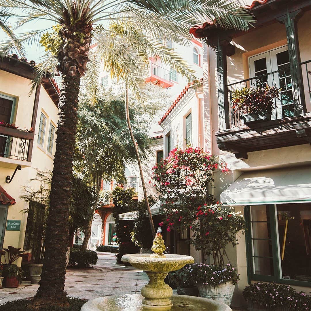 のインスタグラム：「Sunday views 🌴  #SamEdelman」