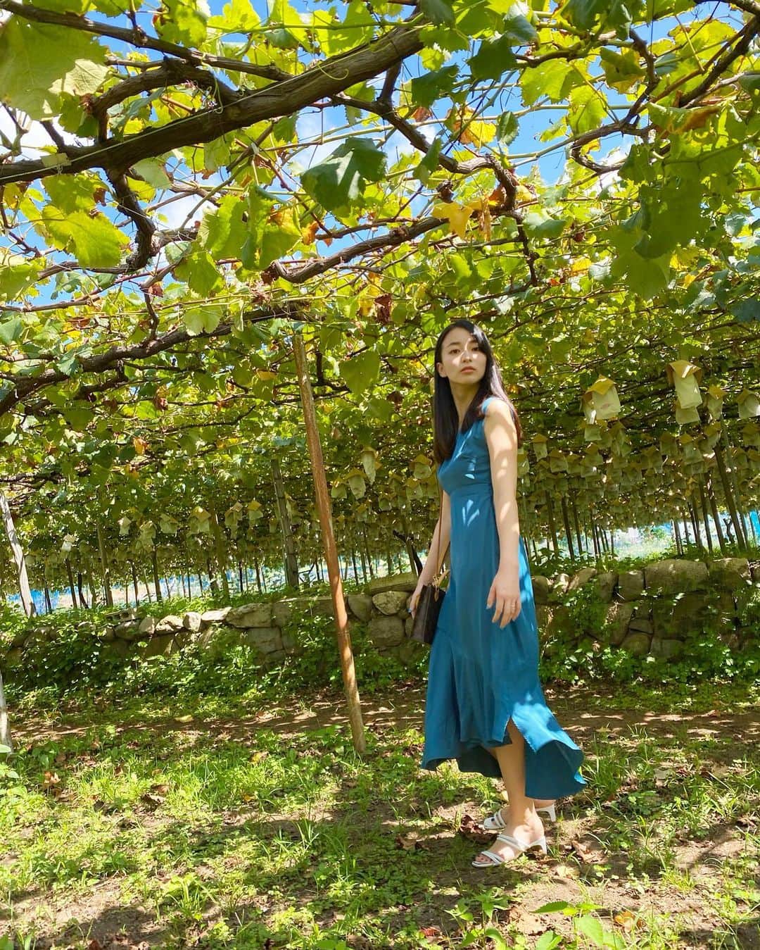 岩間恵のインスタグラム