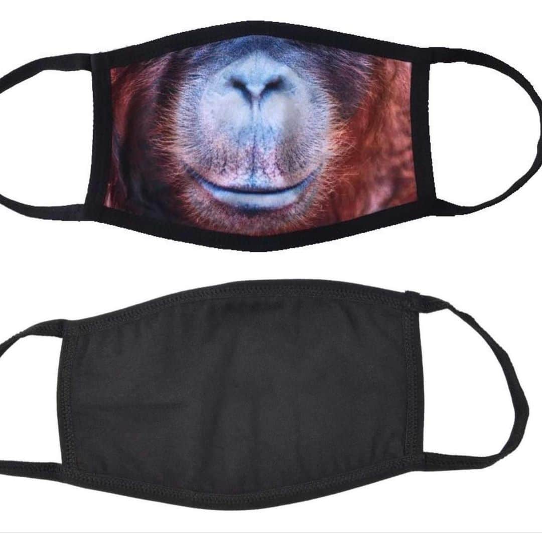 OFI Australiaさんのインスタグラム写真 - (OFI AustraliaInstagram)「Order your orangutan reusable, washable cloth face mask … now available in our website shop! 😷 Protect yourself and others while helping to save orangutans by supporting our crucial work! Our 3-ply reversible cloth face mask has an orangutan design on one side and is plain black on the other.  The mask cost of $10 each includes postage WITHIN AUSTRALIA ONLY.  For more info or to place an order within Australia go to our website shop in our bio link.  ________________________________________ PLEASE NOTE – If you are OVERSEAS (not in Australia) and would like to purchase our face mask/s please email info@ofiaustralia.com with your address and the number of masks you would like to purchase and we will advise you of the international postage cost BEFORE you place your order.  _____________________________________ 🦧 OFIA Founder: Kobe Steele kobe@ofiaustralia.com  OFIA Patron: Dr Birute Galdikas @drbirute @orangutanfoundationintl @orangutan.canada www.orangutanfoundation.org.au 🦧 🧡 🦧 #orangutan #facemask #orphan #rescue #rehabilitate #release #BornToBeWild #Borneo #Indonesia #CampLeakey #orangutans #savetheorangutans #sayNOtopalmoil #palmoil #deforestation #destruction #rainforest #environment #nature #instanature #endangeredspecies #criticallyendangered #wildlife #orangutanfoundationintl #ofi #drbirute #ofiaustralia #FosterAnOrangutanToday」9月7日 9時28分 - ofi_australia
