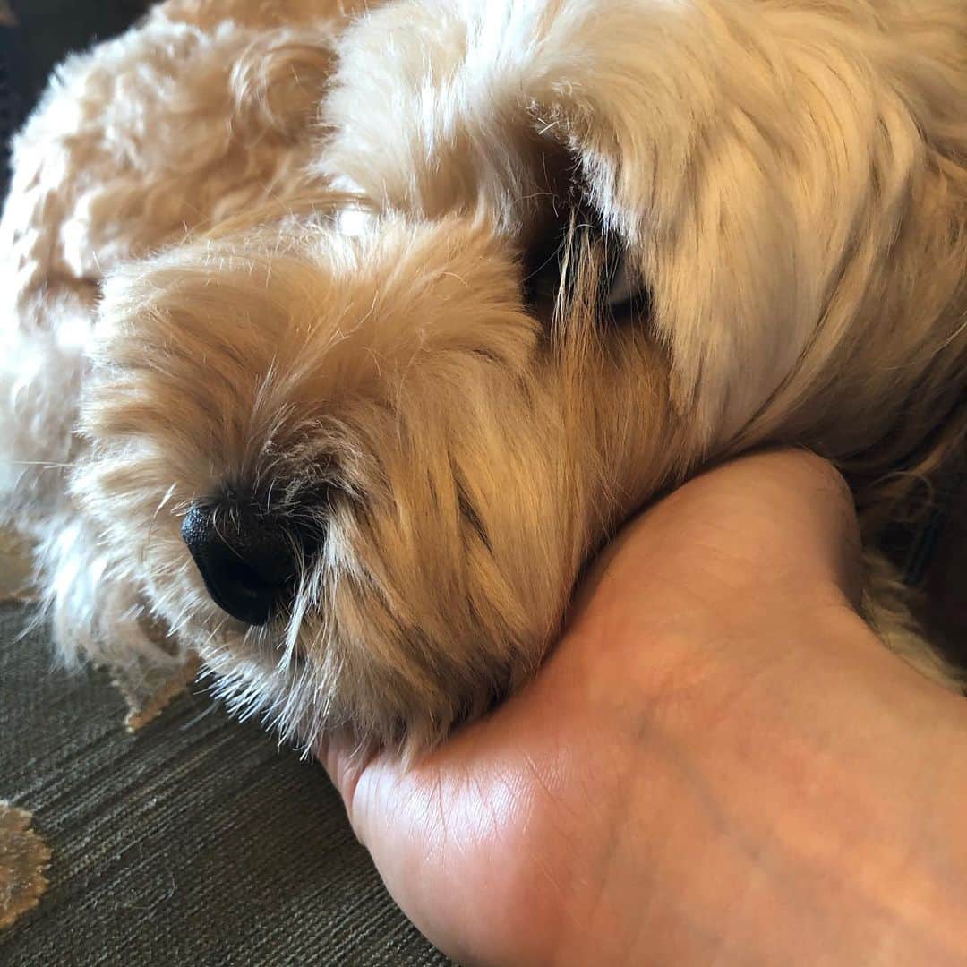 北山陽一さんのインスタグラム写真 - (北山陽一Instagram)「てのりおかき。#きたやまおかき」9月7日 10時14分 - yohk8