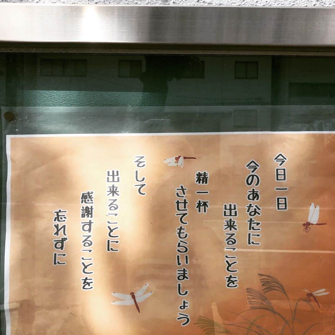 橋本塁さんのインスタグラム写真 - (橋本塁Instagram)「おはようございます！東京始発→大阪到着11km朝ラン終了！ 今日も快晴で暑くて走りやすかったです！今回行けないけどどうしても拝みたくてJOY大正へ！ 心身共に健康で 大阪STINGRAY5日目！11-19時。 最終日までずっと居ます！  #stingrun #朝ラン #玉ラン #adidas #adidasultraboost  #run #running #ランニング　#心身ともに健康に #今日の格言　　#joy大正」9月7日 10時42分 - ruihashimoto