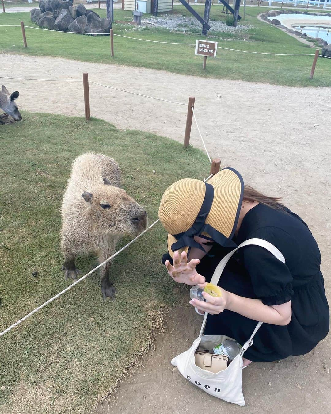 武イリヤさんのインスタグラム写真 - (武イリヤInstagram)「おはようございます〜 今日も暑いですね、、😵 わたしは今日も撮影です！ 暑いですが頑張りましょ〜✌🏻❤︎ 3枚目はカピバラに素手で餌をあげて手を汚した友達です(笑)」9月7日 10時51分 - take_iriya