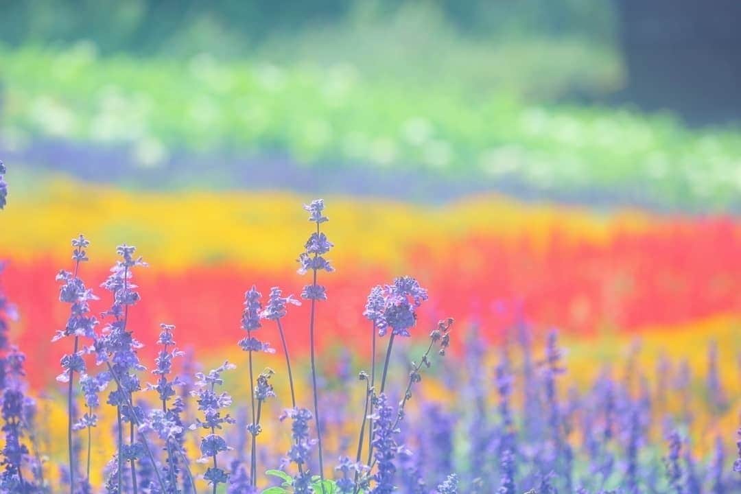 LIFE with CAMERAのインスタグラム