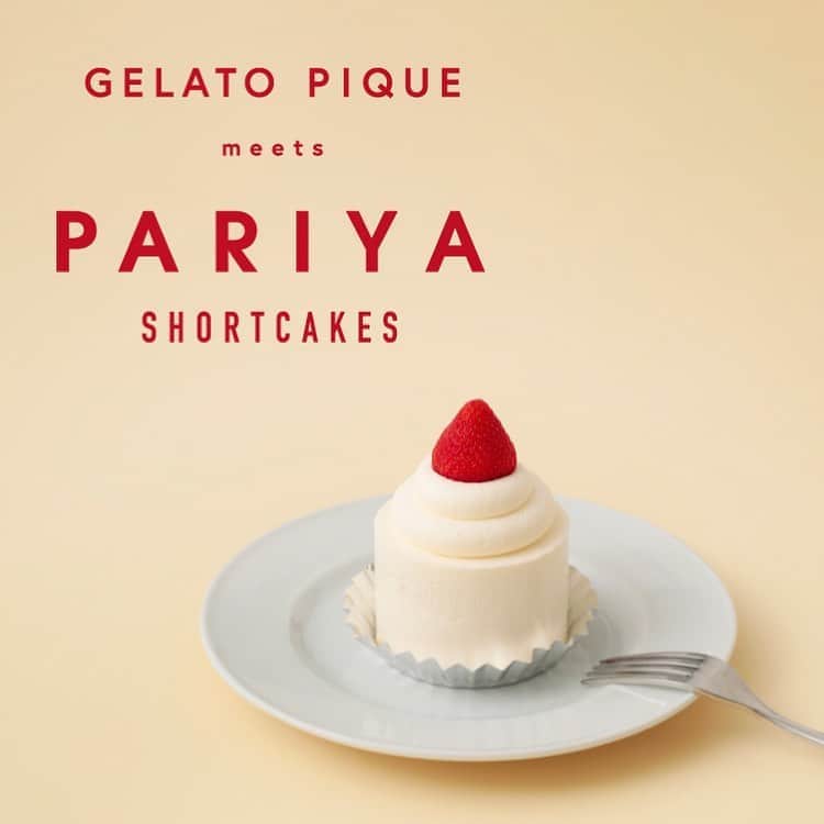 ジェラートピケさんのインスタグラム写真 - (ジェラートピケInstagram)「【COLLABORATION】  9.10 (THU) RELEASE. GELATO PIQUE meets PARIYA  PARIYAのショートケーキに欠かせない真っ赤ないちごを、総柄で描き起こしたらプリントポーチ。  ITEM:POUCH/TISSUE POUCH COLOR:OWHT/PNK  #gelatopique  #ジェラートピケ #roomwear  #pariya #パリヤ @pariya_official  @gelatopique_official_snap」9月7日 11時36分 - gelatopique_official