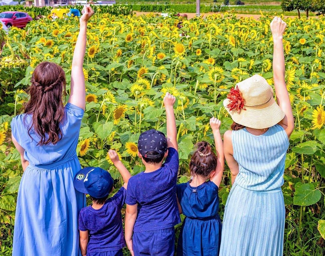 原島美波のインスタグラム：「♡Sunflower ♡. . . . あっと言う間に9月ですね！. . 先月猛暑日に妹と妹の子ども達と出掛けた #ひまわり畑 ✨. . . 向日葵の花言葉は. 『あなただけを見つめる』とか『憧れ』. 一途なお花なんだよ♡. 行き過ぎると怖いけどね！笑. . 亡き母が大好きだったお花が向日葵だったので、8月母のお誕生日にみんなで行ってきました♪. . 今日は曇ってるので、元気なお写真を投稿したくて(o^^o). . 本日から1週間Start✨. 楽しんで頑張って行きましょう♪. . . . #smile. #笑顔. #Happy. #向日葵. #Love. #来年も楽しみ. #Happy day. #Saitama. #japan. #東京. #曇り. #ワンピース. #お気に入り.」