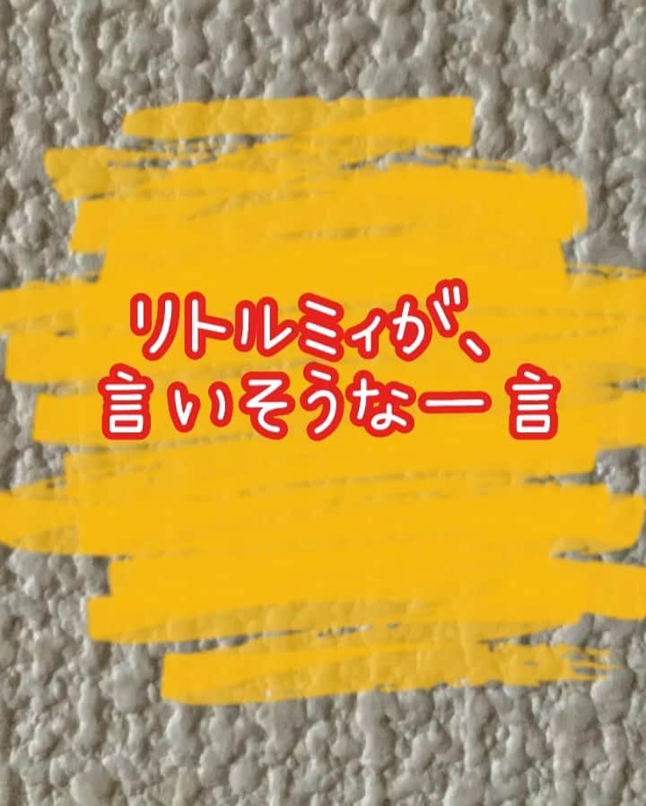 新谷あやかのインスタグラム