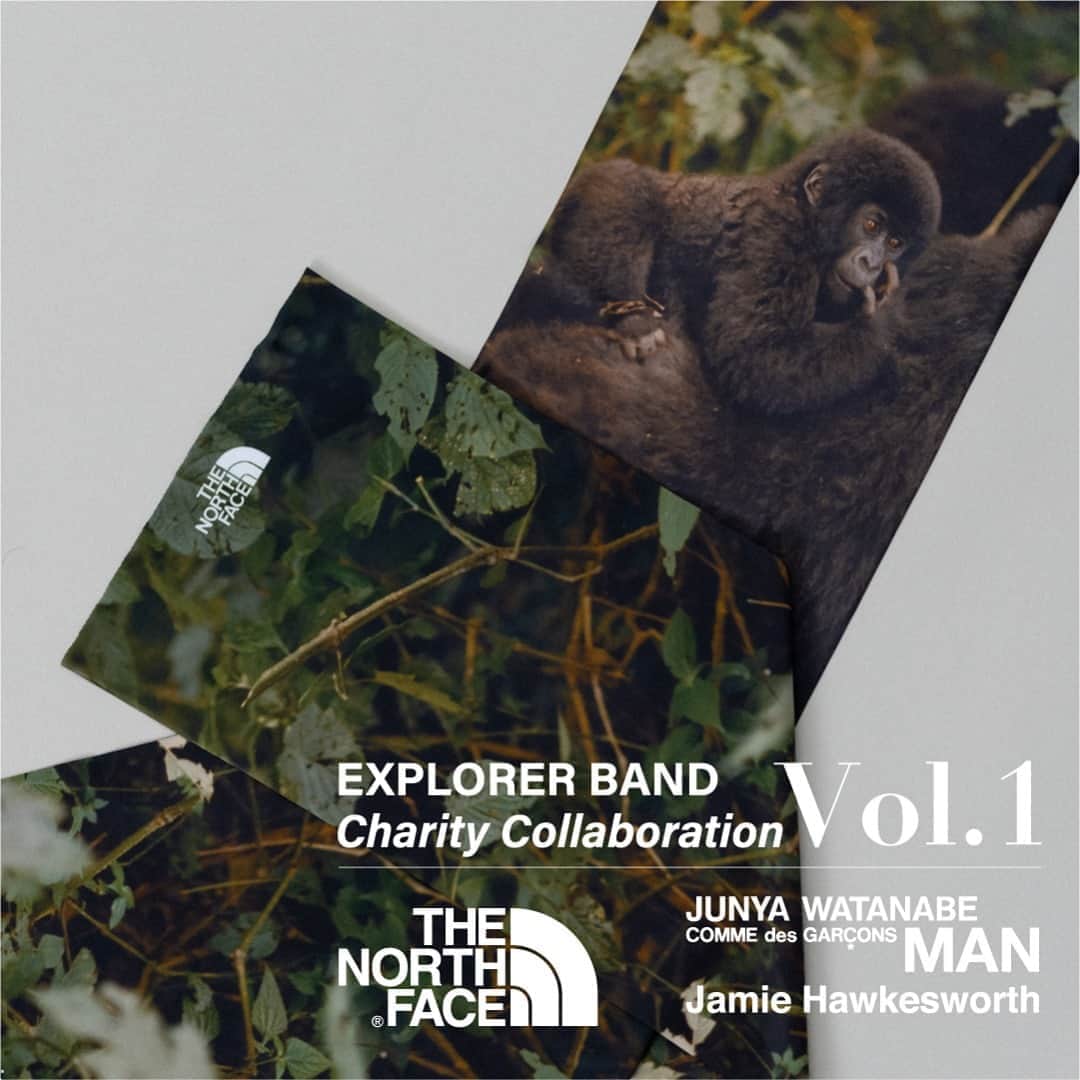 のインスタグラム：「【EXPLORER BAND Charity Collaboration Vol.1】  THE NORTH FACE x JUNYA WATANABE COMME des GARÇONS MAN with Jamie Hawkesworth  9月11日(金) 11:00 　GOLDWIN WEB STORE にて発売開始。  #ザノースフェイス #thenorthface」