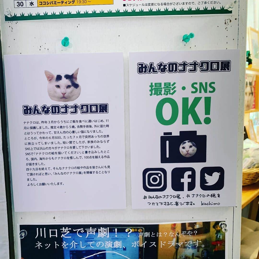 Kachimo Yoshimatsuのグルメインスタ