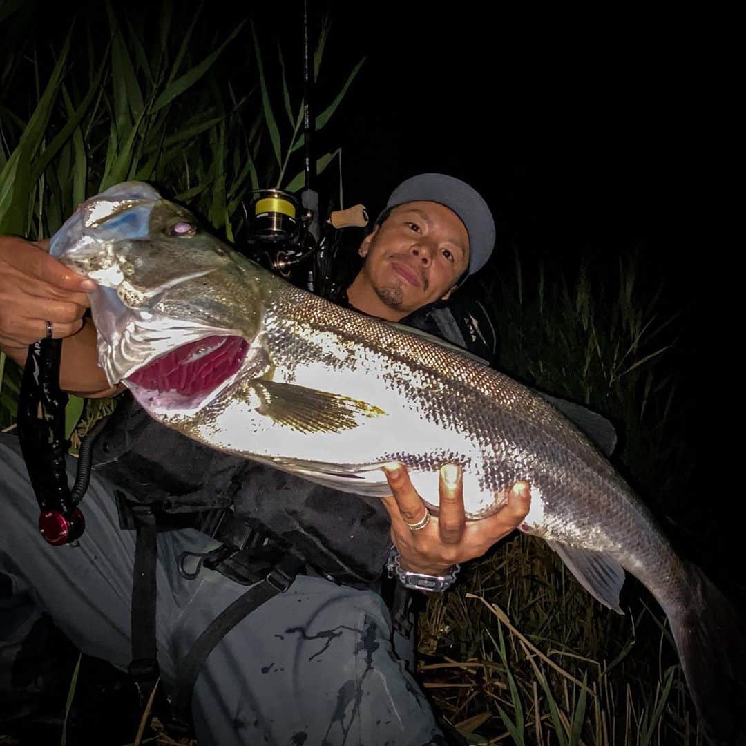 野中泰輔のインスタグラム：「初アルゴフィッシュ🎣 リールも新品の黒いセルテートで🔥 一人でガッツポーズした夜でした💪  @anglersutopia @slp_works_official @sunline_japan @rivalley_fishing」