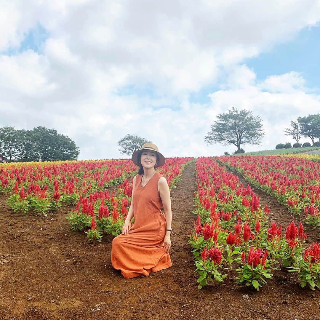 藤田陽子のグルメインスタ