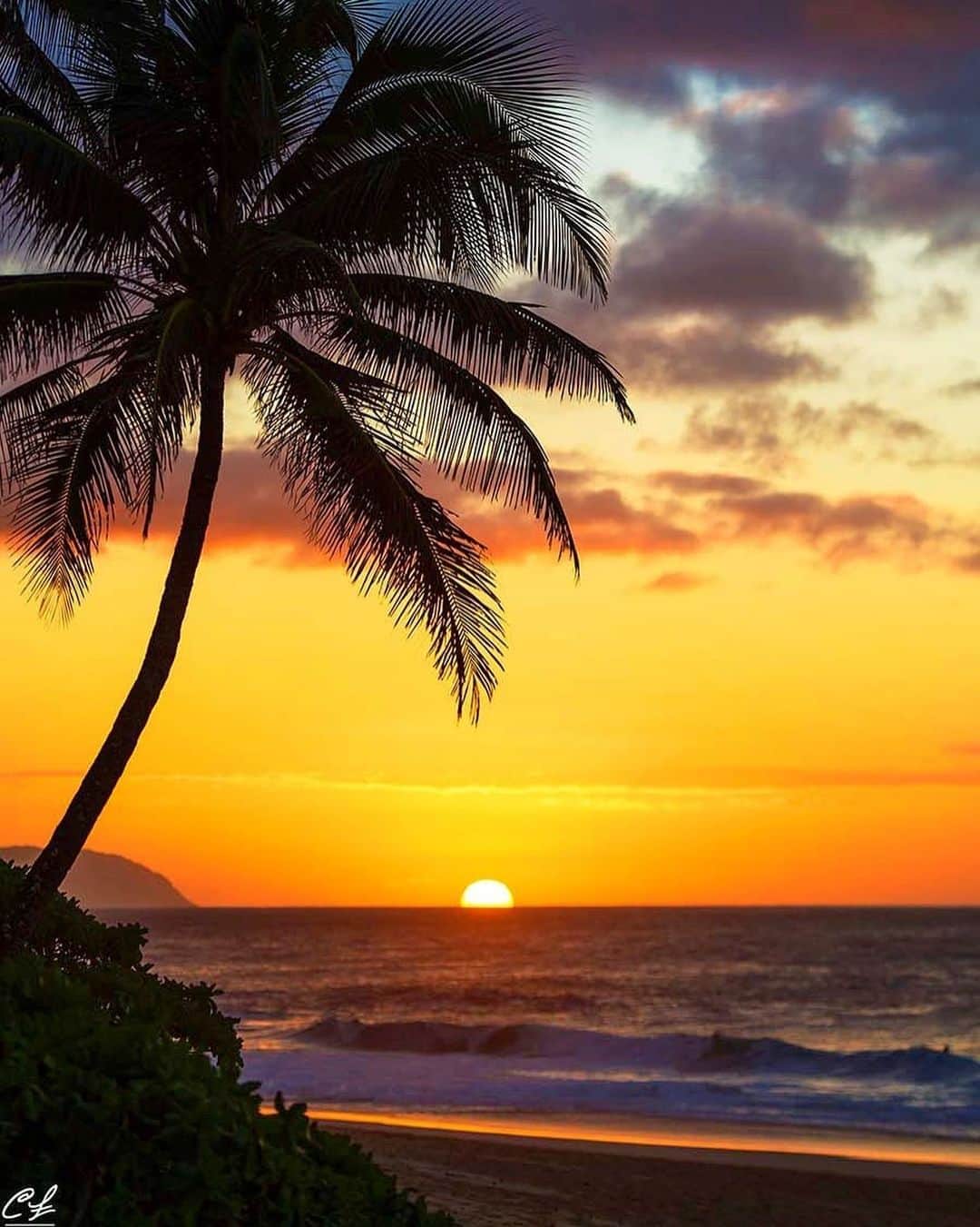 クラーク・リトルさんのインスタグラム写真 - (クラーク・リトルInstagram)「💛 #hawaii #paradise #clarklittle 🆑」9月7日 14時22分 - clarklittle