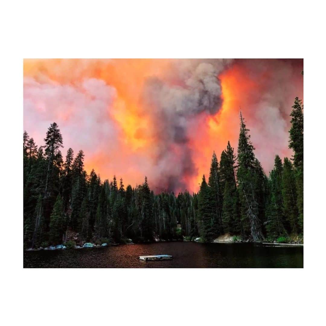コビー・スマルダーズのインスタグラム：「The planet is on fire. Today in Los Angeles temperatures reached 120 degrees. According to the California Department of Forestry and Fire Protection, more than 1.8 million acres of land have burned this year.   @americanredcross is accepting volunteers and donations to help here in California. More ways to help linked in my stories. This is a global issue. The Amazon is also on fire as are parts of my home Province British Columbia. While many factors are at play climate change is at the forefront. We need to look forward and elect officials that will prioritize our safety and the health of our planet. Consider aligning yourself with organizations like @sierraclub and @earthalliance who are committed to climate action. 🌲 📸Erik Paul Zamora」