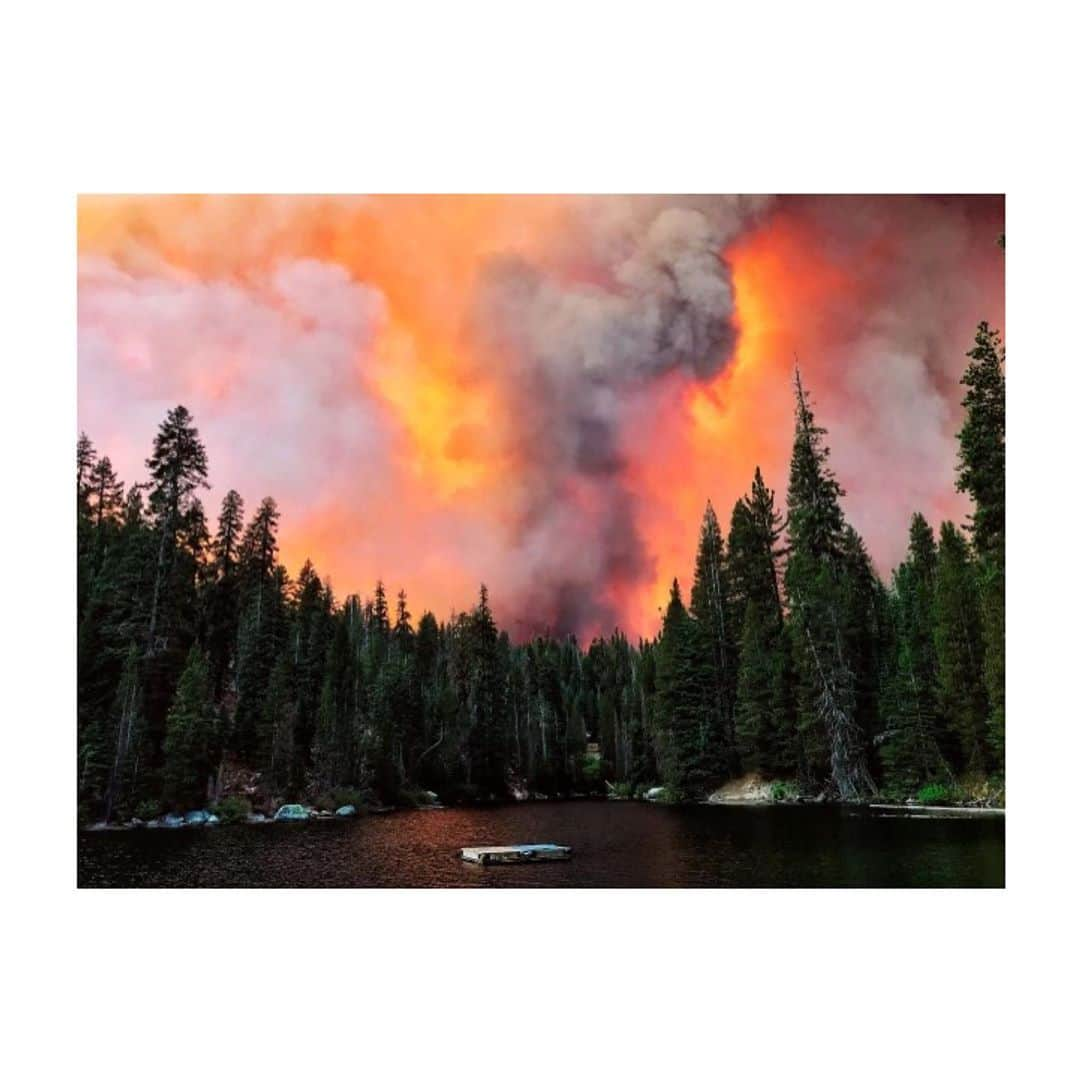 コビー・スマルダーズさんのインスタグラム写真 - (コビー・スマルダーズInstagram)「The planet is on fire. Today in Los Angeles temperatures reached 120 degrees. According to the California Department of Forestry and Fire Protection, more than 1.8 million acres of land have burned this year.   @americanredcross is accepting volunteers and donations to help here in California. More ways to help linked in my stories. This is a global issue. The Amazon is also on fire as are parts of my home Province British Columbia. While many factors are at play climate change is at the forefront. We need to look forward and elect officials that will prioritize our safety and the health of our planet. Consider aligning yourself with organizations like @sierraclub and @earthalliance who are committed to climate action. 🌲 📸Erik Paul Zamora」9月7日 14時27分 - cobiesmulders