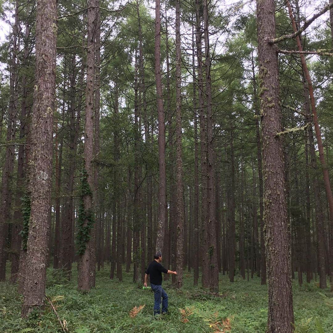 井上荒野さんのインスタグラム写真 - (井上荒野Instagram)「マグリットっぽい写真にしたかったのだが、いろいろと無理だった。」9月7日 14時44分 - arereno