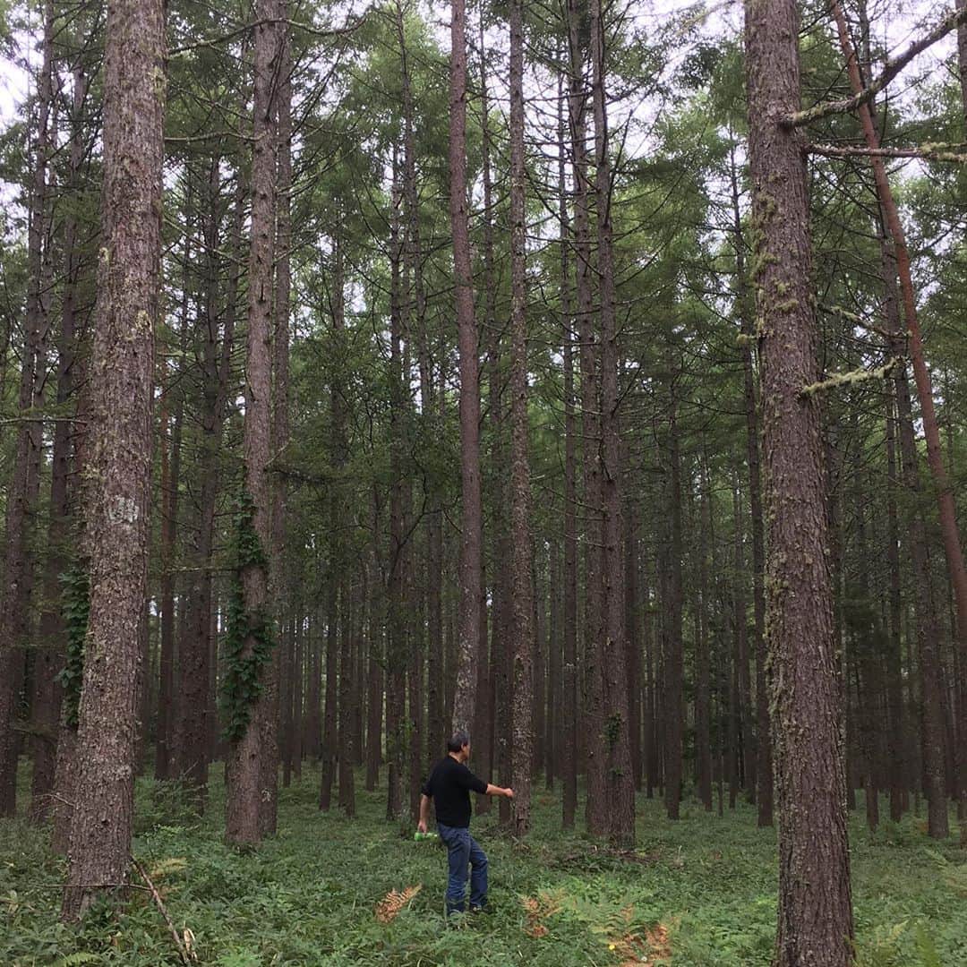 井上荒野のインスタグラム：「マグリットっぽい写真にしたかったのだが、いろいろと無理だった。」