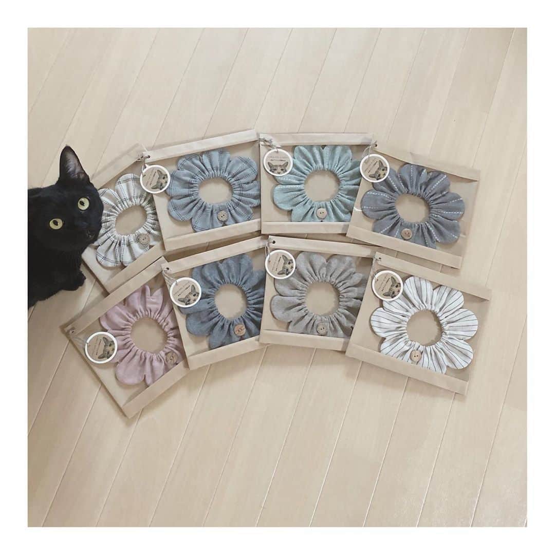 こむぎのインスタグラム：「* こむぎねこプロデュースザビエル首輪 9/1〜9/27は富山、9/19〜10/4は名古屋で開催されるねこ休み展でも販売します🤗 9/13までの浅草橋はもう売り切れていたみたいです😂 あんまりたくさんは作れなくて納品数も少なくて申し訳ないですー🙇🏻  そしてそして、近々ウェブショップでチャリティー販売もしようと準備中です✨ 写真に載っているのは上の4つが新作で、下サクラはもう手に入らないと思っていた生地が手に入ったので(ビックリ)サクラと、本当は夏に販売したかったブルー無地のザビエル、再販のベージュのナチュラル無地ザビエルとシンプルストライプです😊  今月は多頭飼育崩壊現場の子たち全員のワクチン接種の月です😂 今手元にある支援金でワクチン代の支払いできますが、すぐに支援金が減ってしまうと思うので医療費等の使わせていただければと思っています🤗 また詳細は改めてお知らせしますー🙏🏻🙏🏻🙏🏻  ▲▲ザビエル首輪とは▲▲ まいさん( @maihimemoco )考案のもので、売上は猫の保護活動に使われます。 こむぎねこプロデュースザビエル首輪はちょっと大人の猫ちゃんを演出する落ち着いたデザインのラインナップになっています🤗  #ザビエル首輪 #ザビエラー #こむぎねこプロデュース」