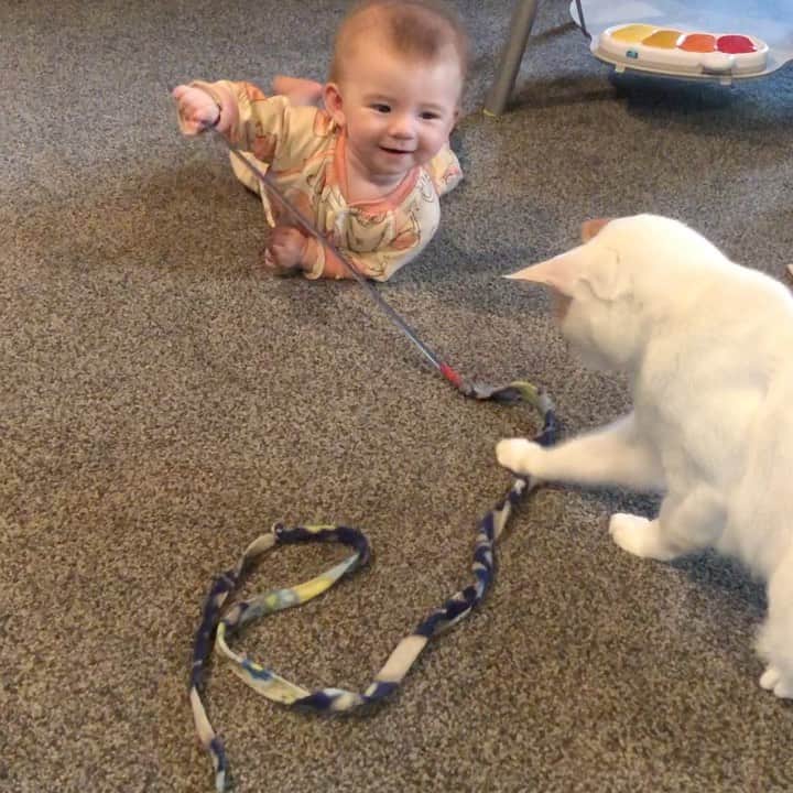 のインスタグラム：「Play buds! 🥰😻」