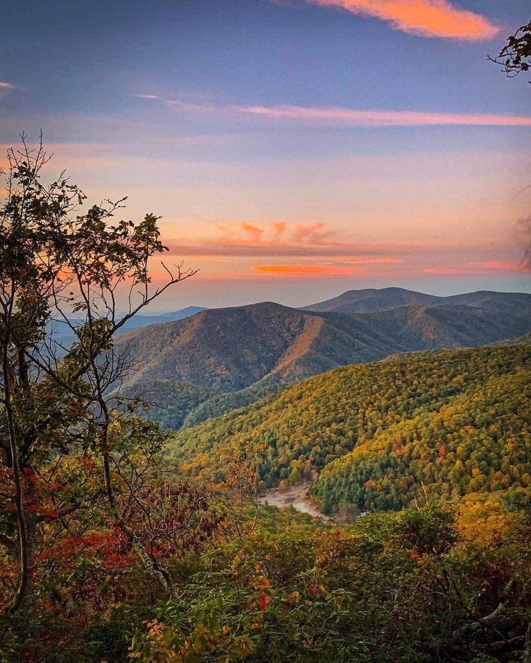 Visit The USAさんのインスタグラム写真 - (Visit The USAInstagram)「Loving these Fall 🍂 vibes from the Appalachian Trail in Virginia! Did you know that Virginia has over 800 km of the Appalachian Trail in the state? The Appalachian Trail goes through Shenandoah National Park and has hiking trails for all different experience levels! 📸 : @elizab3thaf #VisitTheUSA #TogetherInTravel」9月8日 1時00分 - visittheusa