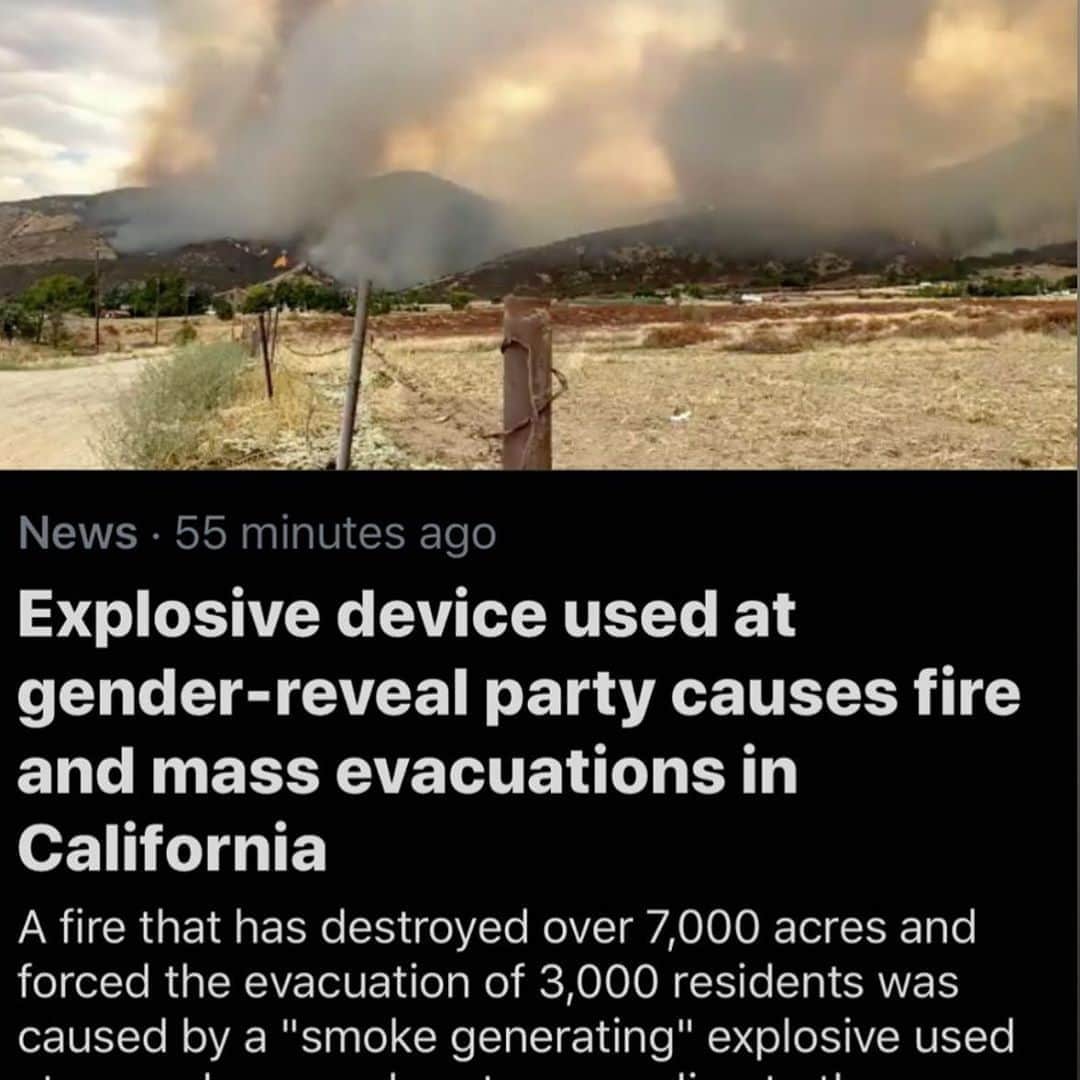 デヴィッド・スペードのインスタグラム：「This is f’d up.  lets just go back to gender reveal covid filled pinatas.」