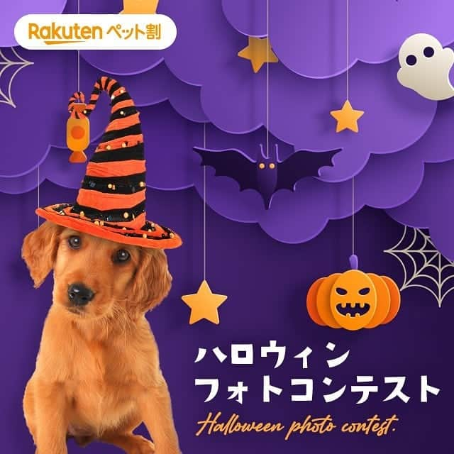 【公式】楽天ペット割さんのインスタグラム写真 - (【公式】楽天ペット割Instagram)「.⁣ 🐶ハロウィンフォトコンテスト🐱⁣ 11月2日(月)09:59まで♪かわいい衣装を身にまとったうちのこ自慢をして、 ステキな商品をゲットしませんか。 ＼プレゼント／⁣ 🎁　猫柄　温泉用バッグ 🎁　名入れキーホルダー　プードル柄 ⁣ 楽天ペット割では、ペットのハロウィン写真・動画を募集しています！⁣ かわいく仮装したペット、ハロウィンにちなんだ写真や動画など、⁣ 皆さんのご応募をお待ちしています✨⁣ ⁣ ⁣ 【参加方法】⁣ ① @rakuten_petwari をフォロー⁣ ② #rハロウィン のハッシュタグをつけてペットのハロウィンコスプレ写真をInstagramに投稿していること。⁣ ⁣ 【期間】⁣ 2020年9月1日(火)10:00～ 2020年11月2日(月)09:59⁣ .⁣ 【当選者数と賞品】⁣ 💠猫優秀賞　3名様　猫柄　温泉用バッグhttps://item.rakuten.co.jp/osyarehime/56558902/  💠犬優秀賞　3名様　 名入れキーホルダー　プードル柄 https://item.rakuten.co.jp/nico-web/sl1400/  ※入賞された方には、発表時のダイレクトメッセージにて、確認させていただきます。⁣ ⁣ .⁣ 【入賞者発表】⁣ 発表11月9日(月)頃を予定しております。⁣ ・入賞された方には、ご応募いただいたInstagramアカウントに@rakuten_petwari より、2020年11月中旬頃、ダイレクトメッセージでご連絡いたします。⁣ ※当選に関わるお問い合わせには、一切お答えいたしかねますので、ご了承ください。⁣ ⁣ ＜ご注意＞⁣ ＊フォロワー様、かつ国内にお住まいの方限定です。⁣ ＊すでにフォローされている方も参加可能です。⁣ ＊入賞者に選ばれた場合楽天会員アカウントが必要となります。会員でない方は楽天会員登録をお願いします。⁣ ＊ #rハロウィン のハッシュタグと共に投稿された画像は、当社が運営するキャンペーンページにも自動的に掲載されます。⁣ ＊応募作品の撮影時期は問いません。投稿は一人何回でも可能です。⁣ ＊投稿内容について当社は、当社の広報宣伝・プロモーションの目的で、当社Webページのほか、インターネット（SNSを含む）、テレビCM、新聞、雑誌、カタログ・チラシ等の各種印刷物、イベント展示等、各種媒体において無償で利用できるものとします。またその際当社は投稿内容を自由に複製および加工・編集（トリミングや、他の素材と組み合わせて使用することを含む）できるものとします。⁣ ＊当社は、本キャンペーンへの応募により応募者および第三者に生じたトラブルや損害（直接・間接を問いません）等について一切の責任を負いかねます。⁣ ＊ #rハロウィン のハッシュタグをつけた投稿についてはすべて、これらの注意事項に同意されたものとみなします。⁣ ＊アカウント非公開・ハッシュタグがついていない投稿は、応募対象外となります。⁣ ＊やむを得ない事情により、賞品は予告なく変更となることがあります。⁣ ＊通信の際の接続トラブルにつきましては責任を負いかねますので、予めご了承ください。⁣ ＊インスタグラムの仕様/運用に伴い、本サービスの一部またはすべてを事前に通知することなく変更・中断あるいは中止または終了する場合がございます。⁣ ＊キャンペーンへの接続にかかる費用につきましては利用者ご自身の負担となります。⁣ ＊当社は事前に通知することなく、このサイトの内容および本キャンペーン概要、利用規約を変更することがございますので、予めご了承ください。⁣ プライバシーポリシーについては、https://privacy.rakuten.co.jp/ をご確認ください。⁣ たくさんのご応募お待ちしております！⁣ ⁣ #楽天ペット割 #rakutenpet #rハロウィン #プレゼント企画 #フォトコンテスト #犬スタグラム #犬好きさんと繋がりたい #犬 #dog #instadog #dogstagram #doglover #ふわもこ部 #ふわもこ部ワンコ #ねこ #ネコ #cat #猫 #catstagram #neko #ねこ部 #にゃんすたぐらむ」9月7日 17時16分 - rakuten_petwari