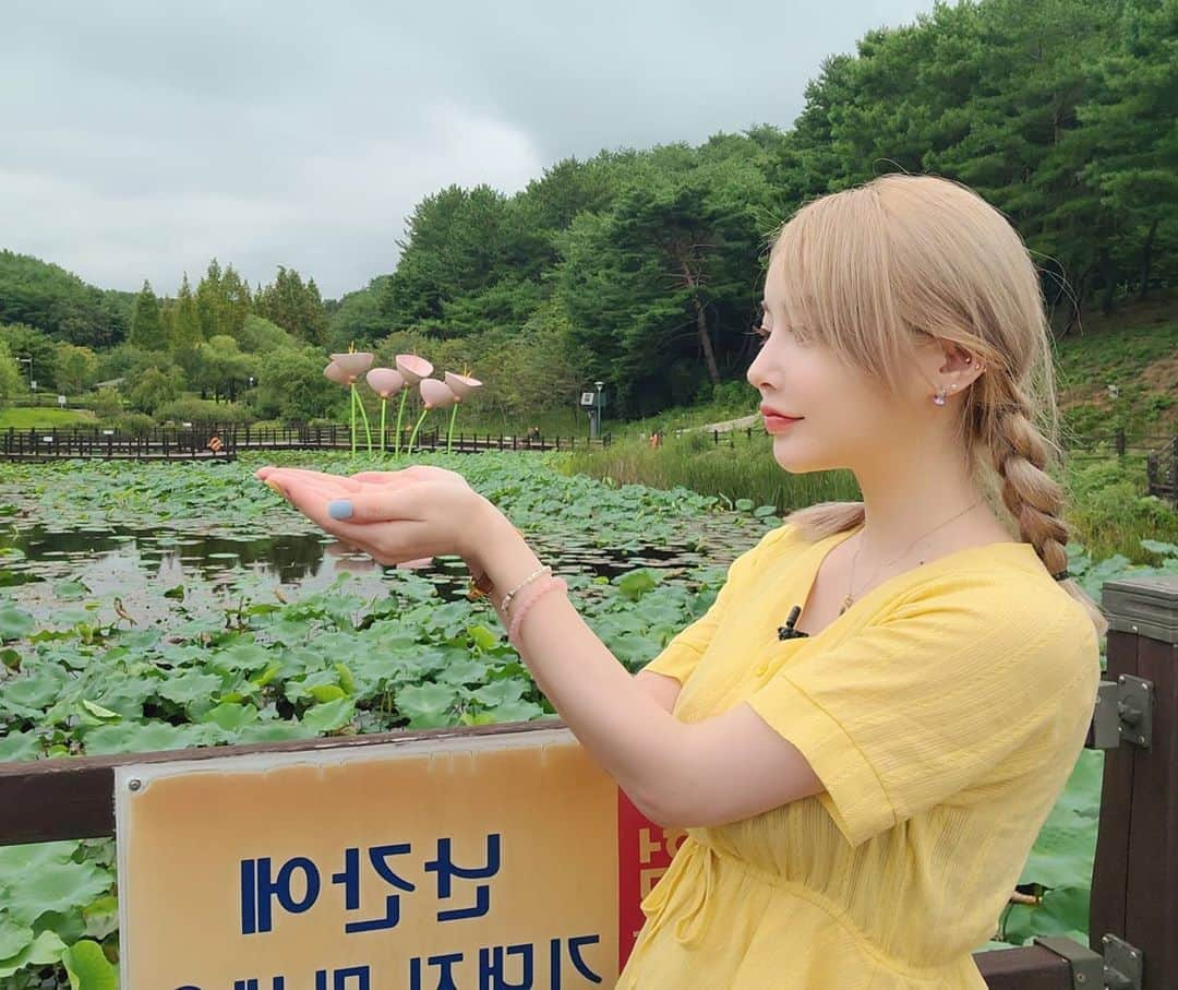 エリナさんのインスタグラム写真 - (エリナInstagram)「힐링🌸バラ園の写真スポット🍓 . .」9月7日 17時27分 - erina_hrn