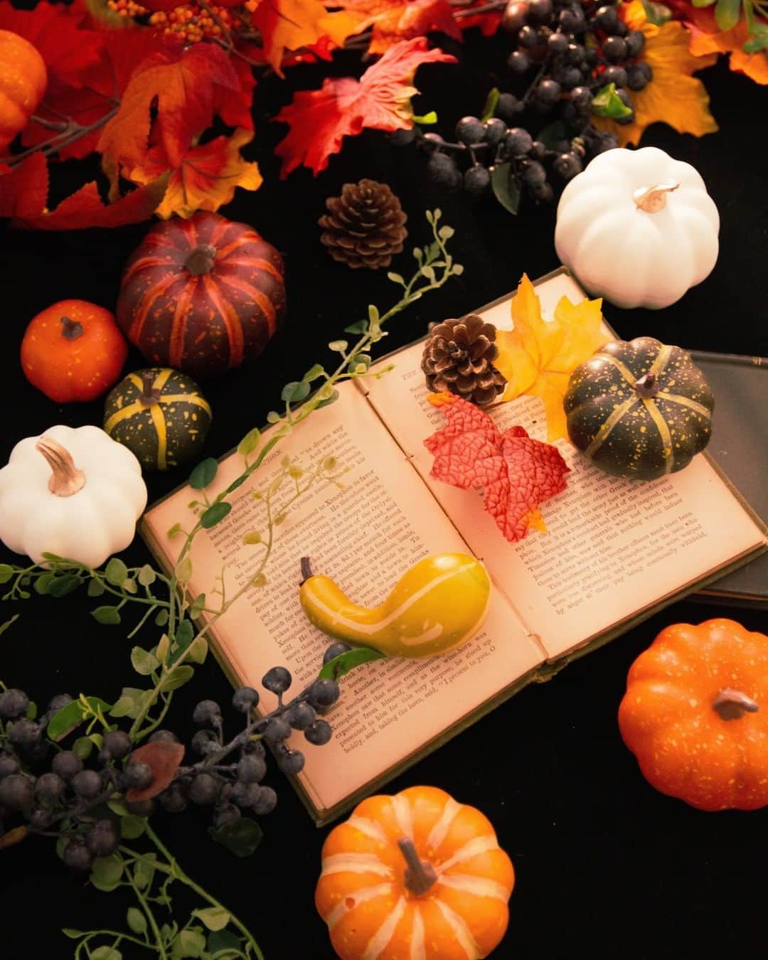 東京堂アーティフィシャルフラワーMAGIQのインスタグラム：「・ 【アーティフィシャルで季節を迎える】 ～Autumn Color Flower (オータムカラーフラワー）～ ・ HW9907　オータムパンプキンガーランド HW1762　ナチュラルパンプキンミックス HW807-21　カレンハイドレンジア FG9894-23 シュガーバインロング FG4668-24　エンジェルリーフバインM FM5455-17　ドルチェハンギングベリー ・ ・ 【マイ リトル オータム　キャンペーン】開催中！ 期間:2020年9月1日(火)〜9月22(火) 入賞→ ６名 発表→ 9月28日(月) 、29日（火） ・ ●テーマ 【あなたのお気に入りの秋】の写真を投稿してください。但し、10月にハロウィンキャンペーン開催予定につき今回はハロウィン画像は除きます、ご注意下さい。 ・ 応募は簡単！ 以下参加方法にて、どなたでも参加OKです。 ◎参加方法 ① @magiq.jp をフォロー ② #magiqオータム2020 をタグ付けて投稿して下さい！ ・ 皆さまのご参加をお待ちしております！！ ・ ・ #TOKYODO #MAGIQ #MAGIQのある暮らし #東京堂 #アーティフィシャルフラワー #アーティフィシャル #アートフラワー #造花 #花のある暮らし #花のある生活  #花好きな人と繋がりたい #フラワーデザイン #フラワーアレンジメント #フラワーアレンジ #アレンジメント #花を飾る  #インテリア #インテリアフラワー #フェイクフラワー  #artificial #artificialflower #flowerofinstagram #flowersoninstagram #autumnflowers #花藝##꽃스타그램 #조화」