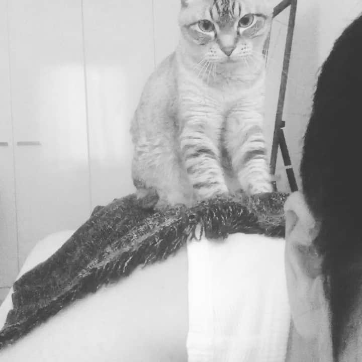 前原滉のインスタグラム：「かわえぇぇぇぇえええええ！！！！！  一流マッサージ師」