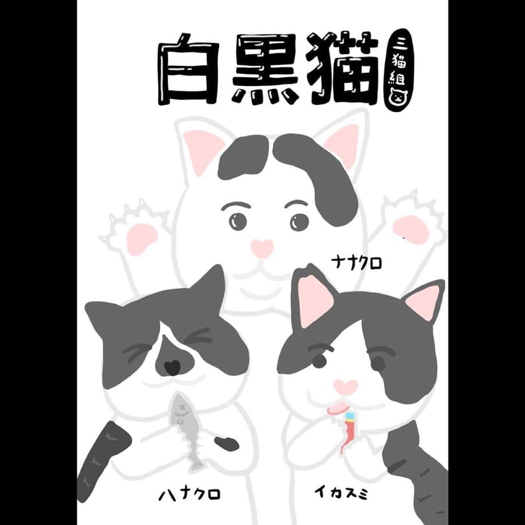 Kachimo Yoshimatsuのグルメインスタ