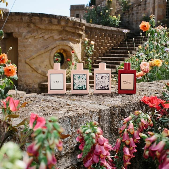 グッチさんのインスタグラム写真 - (グッチInstagram)「The @guccibeauty Gucci Bloom collection celebrates diverse expressions of contemporary femininity. Discover more through link in bio. @alessandro_michele #AlessandroMichele #InBloom #GucciBeauty」9月7日 19時52分 - gucci