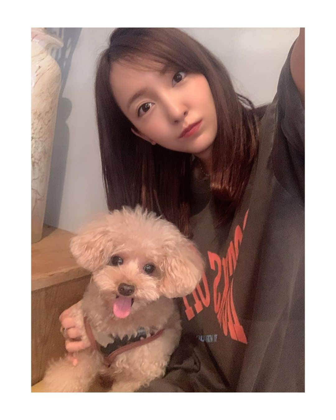 板野友美さんのインスタグラム写真 - (板野友美Instagram)「わんこと妹とcafe☕️🐶  photo by @narumi_0821   #わんこのいる生活  #お散歩 #くーた #ちーく #日常」9月7日 20時02分 - tomo.i_0703