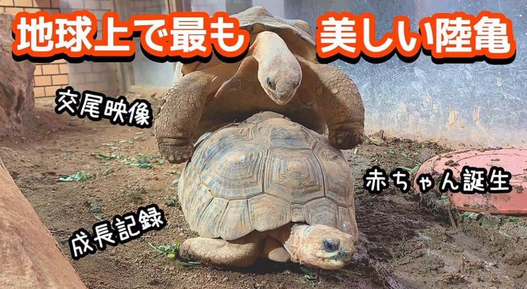 高松雪乃のインスタグラム