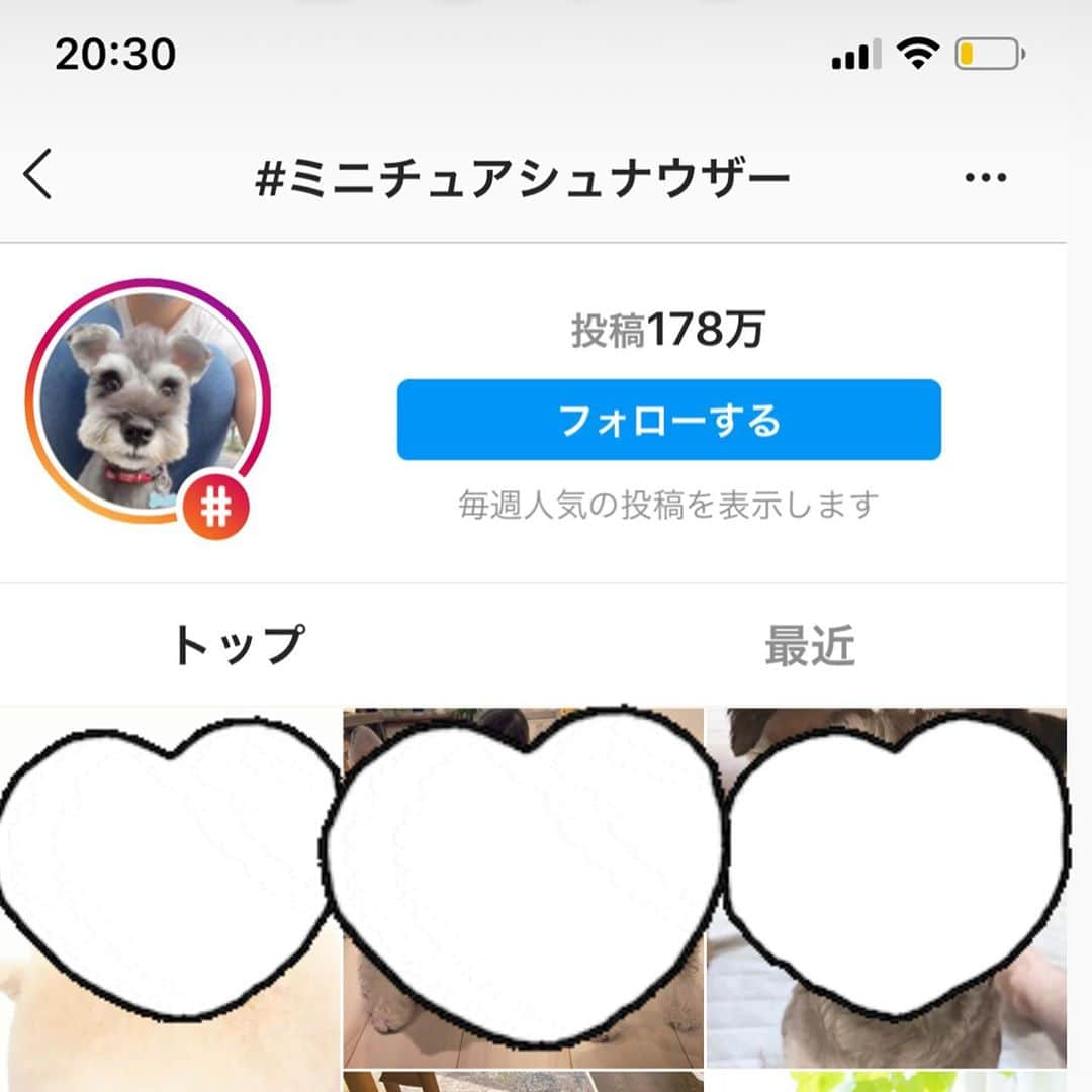 畠山愛理のインスタグラム