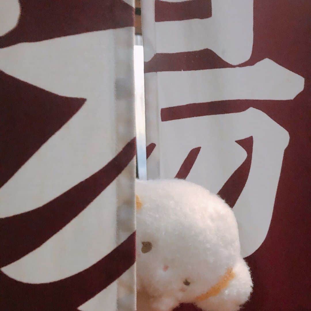 こぎみゅん（サンリオ）のインスタグラム：「みゅ〜ん♪ いい湯だみゅん･･♨️  #サンリオ #キャラクター #小麦粉の妖精 #こぎみゅん #sanrio #character #cogimyun #銭湯 #♨️」