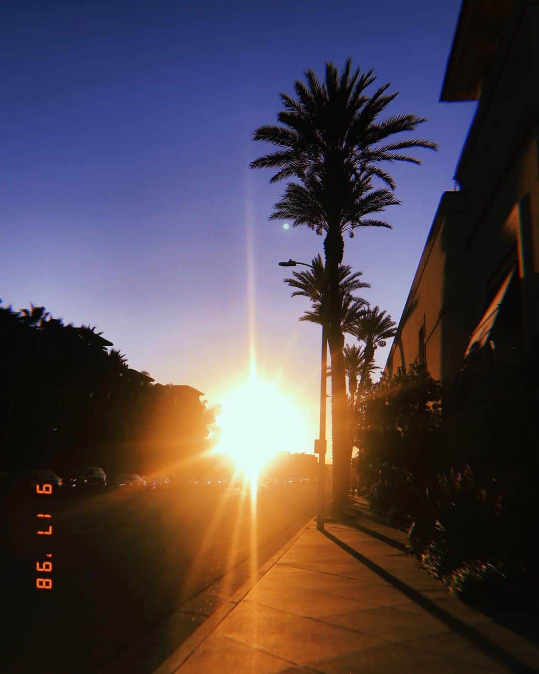 滝沢結貴のインスタグラム：「i miss this view 🌴 #throwback #2019 #losangeles #cali #parmtree」